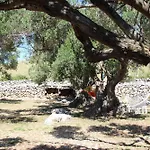 Prázdninový dům House Lantina Kornati Kravljacica