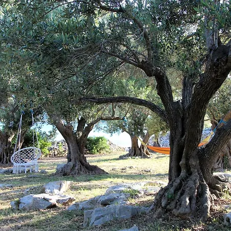 House Lantina Kornati * Kravljacica